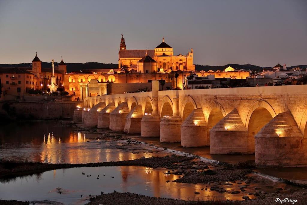 Apartment Loft Al-nasir Junto Al Casco Historico Cordoba