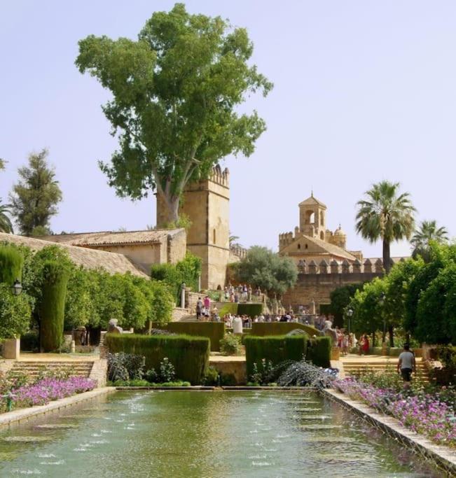 Loft Al-nasir Junto Al Casco Historico * Cordoba